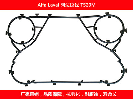 TS20M 國產板式換熱器密封墊片